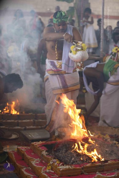 7T7A7278_CMP_WM_7T9A7294_CMP_WM