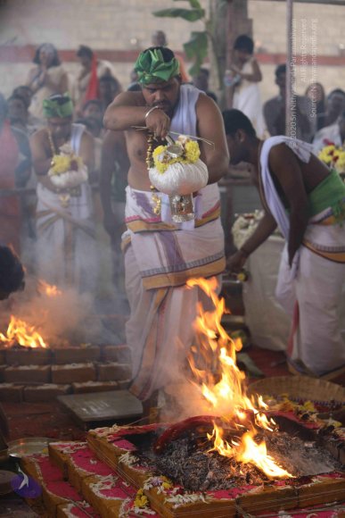 7T7A7278_CMP_WM_7T9A7295_CMP_WM