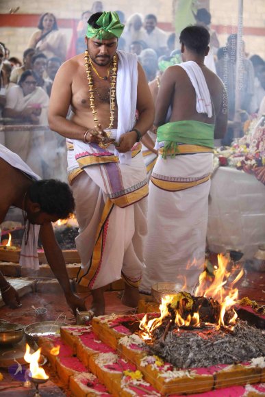 7T7A7278_CMP_WM_7T9A7310_CMP_WM