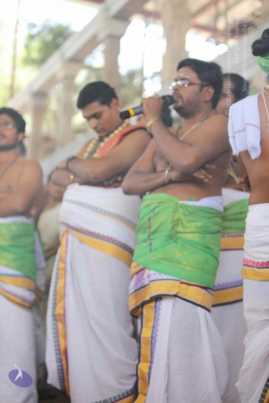 7T7A7278_CMP_WM_7T9A7342_CMP_WM