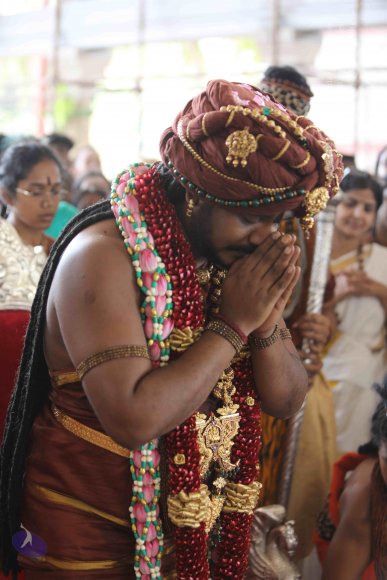 7T7A7356_CMP_WM_7T9A7388_CMP_WM