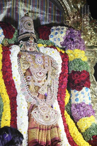 20180302_Photo_1006_7T7A2956_CMP_WM