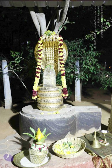 1-Arrival-In-Thiruvannamalai_Photo_1012_7T9A0430_CMP_WM