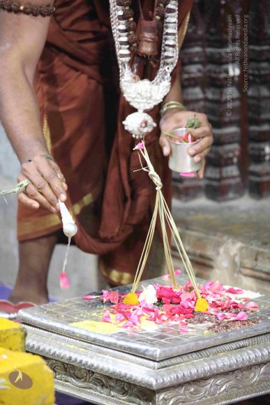 2-Thiruvannamalai-Temple-Visit_Photo_1028_7T7A6649_CMP_WM