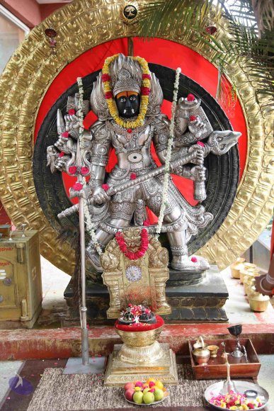 20190429_Photo_1002_7T7A9682_CMP_WM