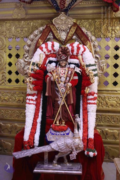 20190105_Photo_1000_7T7A2602_CMP_WM