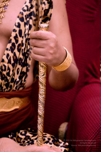 2025-Jul-03-PSS_7U6A1647_1