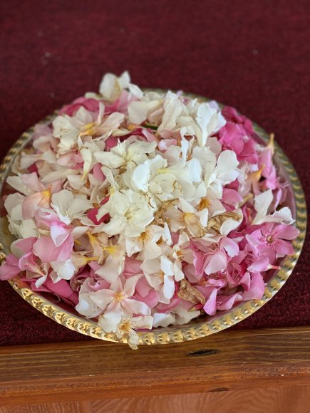 2025-Jun-26_IMG_3248