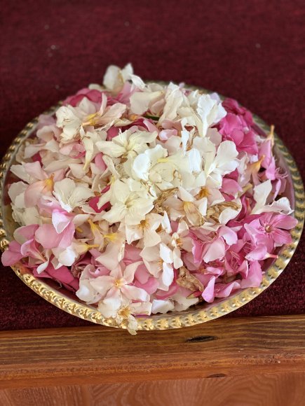 2025-Jun-26_IMG_3249