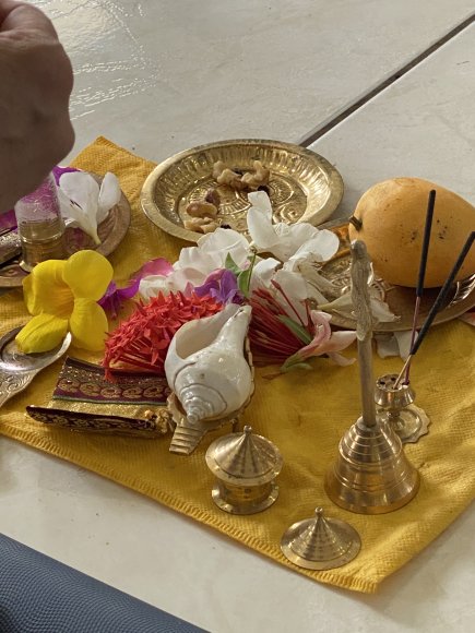 2025-Jun-26_IMG_3263