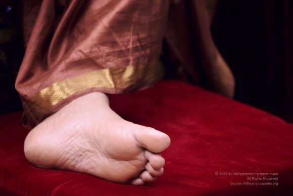 3thJune2025_7U6A8413.JPG-1