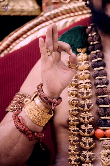 4thJune2025_7U6A8780.JPG-1