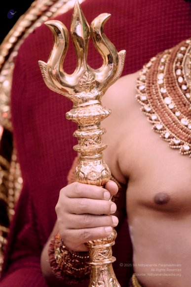 5thJune2025_7U6A9905_1