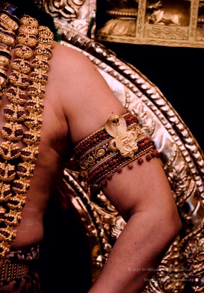 2025-Oct-19-Diwali-Special-Satsang_7U6A8745_1