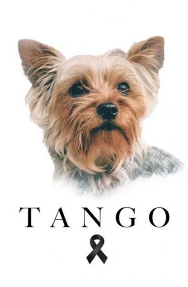 7_Tango