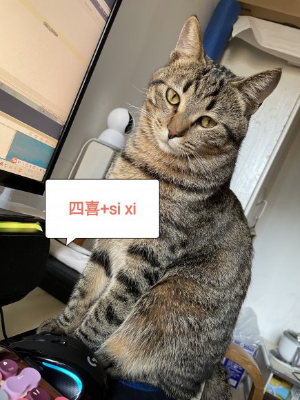 22-AUG-2021_Yan si xi