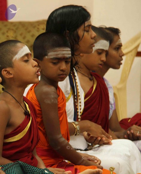 IMG_8586_CMP_WM done