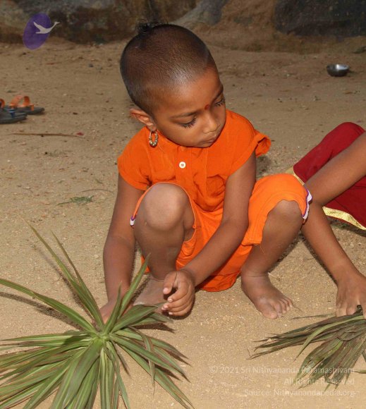 IMG_8900_CMP_WM done