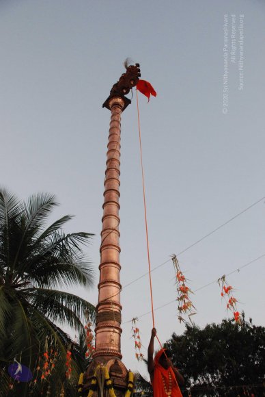 DSC_3754_CMP_WM