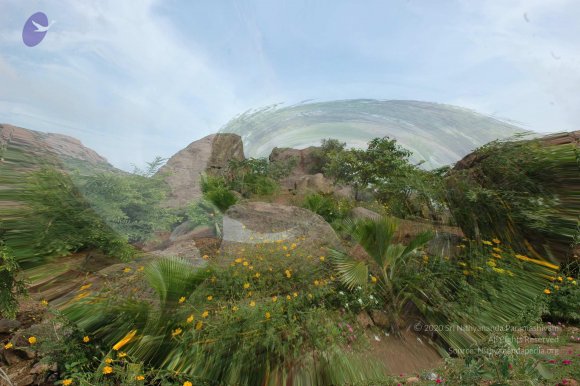 1st Exp Rock_360_CMP_WM