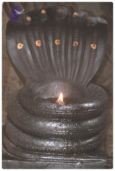 Nithyananda_Swami-11-6-13-7_CMP_WM