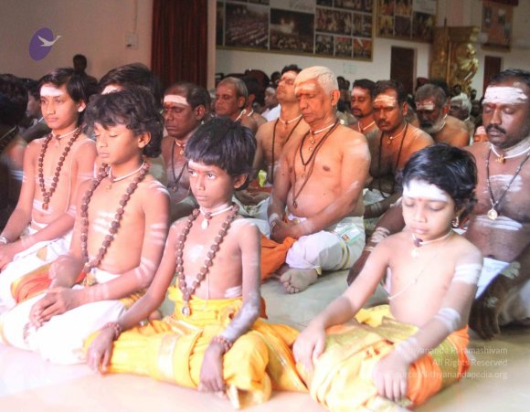 IMG_8997_CMP_WM done