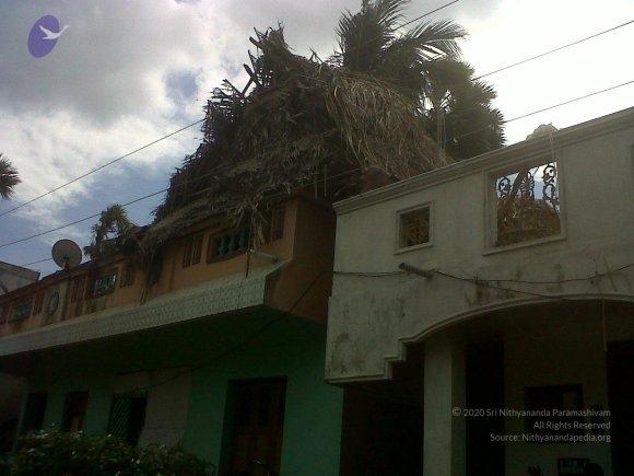 IMG00059-20120105-1150_CMP_WM