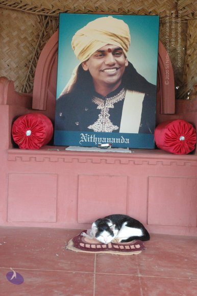 20070701_Photo_5_1cd-M6LT6pm9b38st0DoDtfpf-7L4RbpT