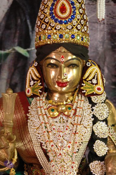 DeitiesSept2007 370_CMP_WM