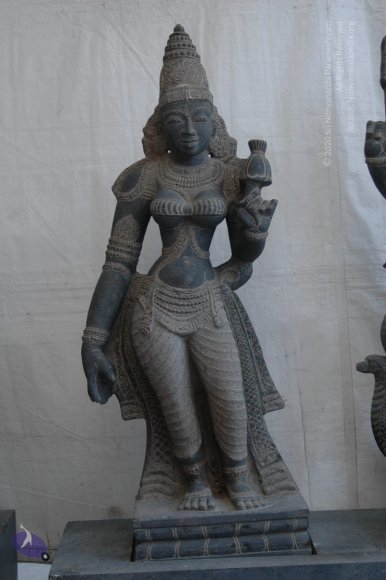 deitiesSept2007 340_CMP_WM