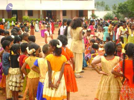 A mass of Little Anandas_CMP_WM